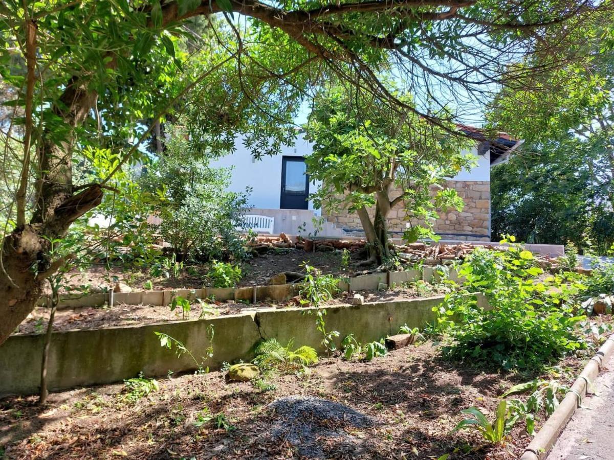 Getxo Garden Houses - The Suite Exterior foto